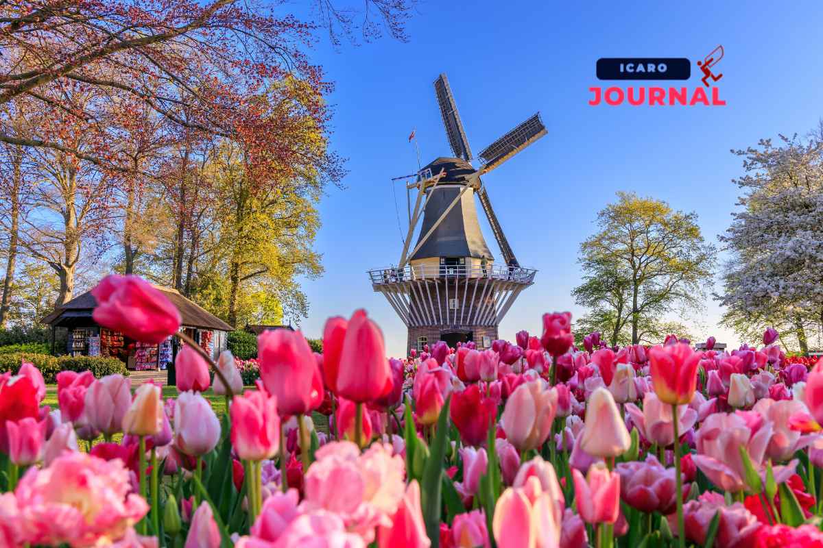 Cose da vedere ad Amsterdam - IcaroJournal