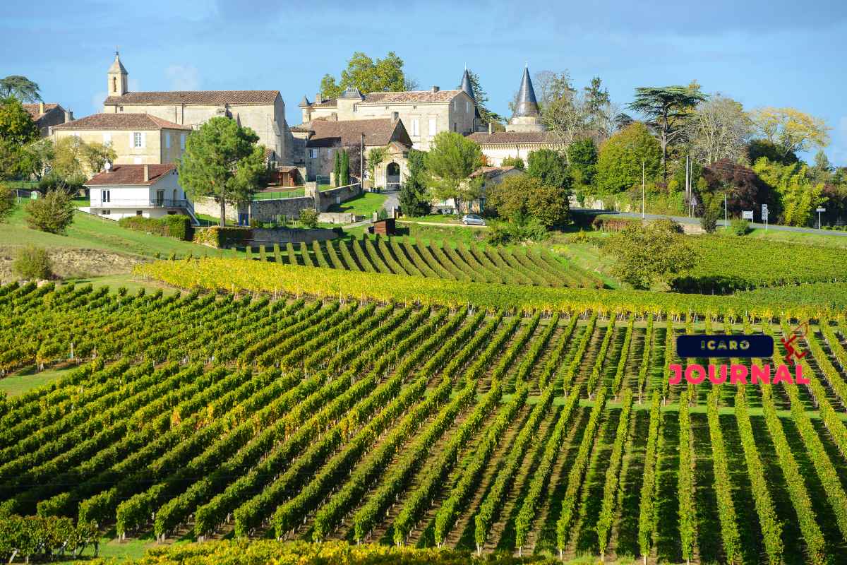 Viaggio in Bordeaux - IcaroJournal
