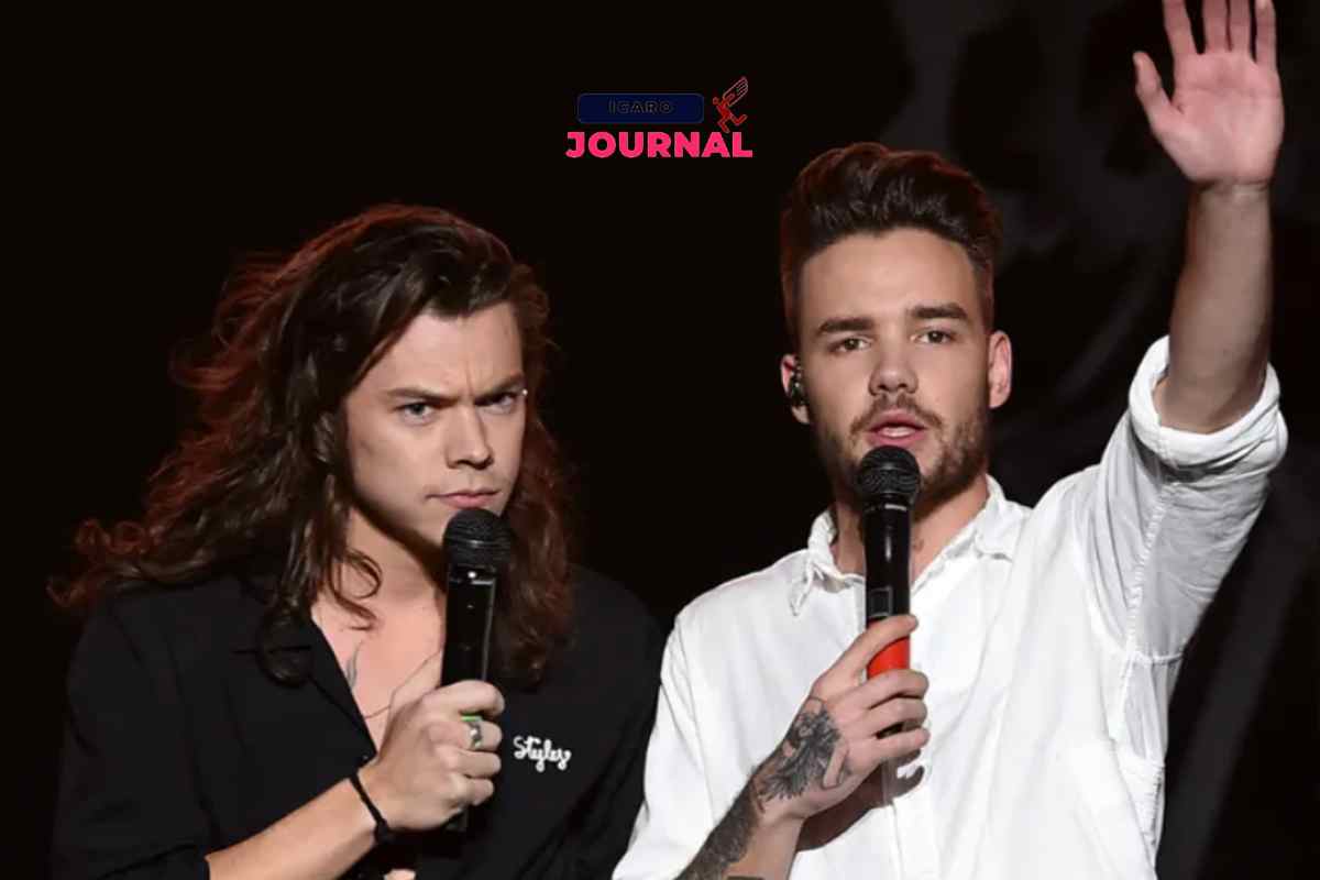 Harry Styles l'addio a Liam Payen (IcaroJournal.com)