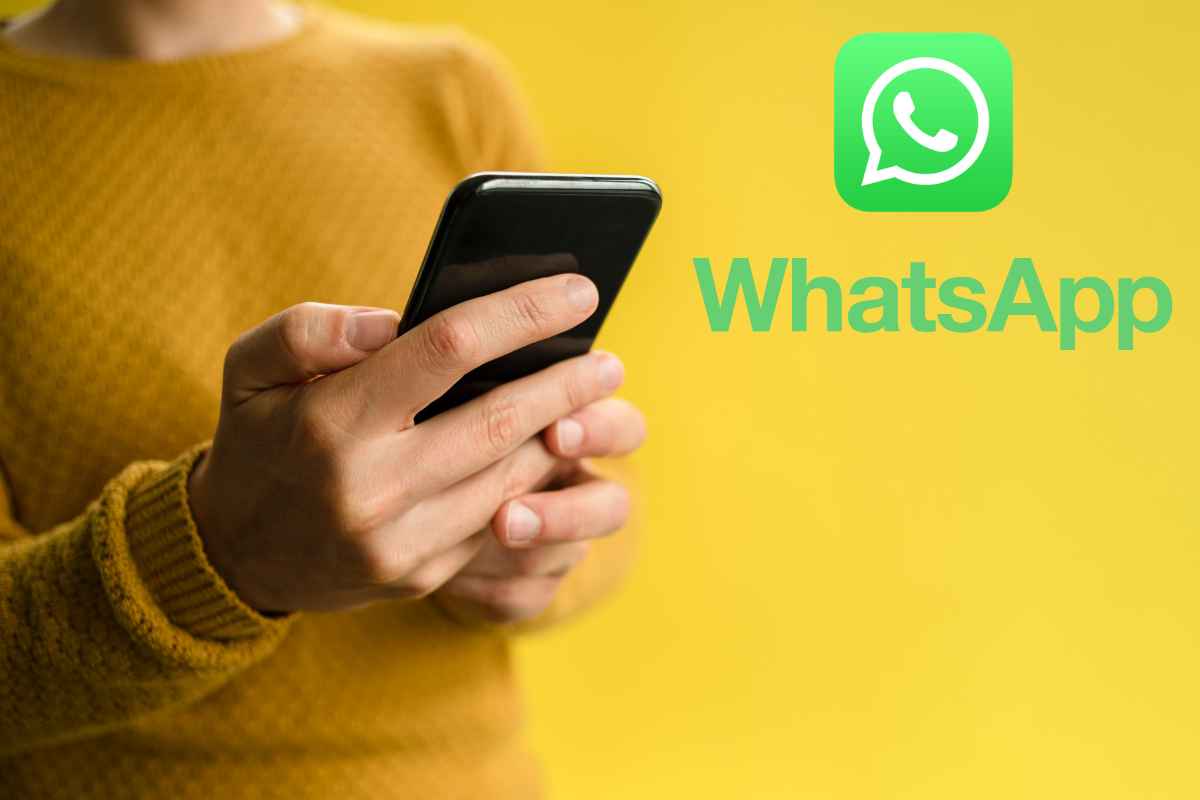 WhatsApp vs IA - IcaroJournal