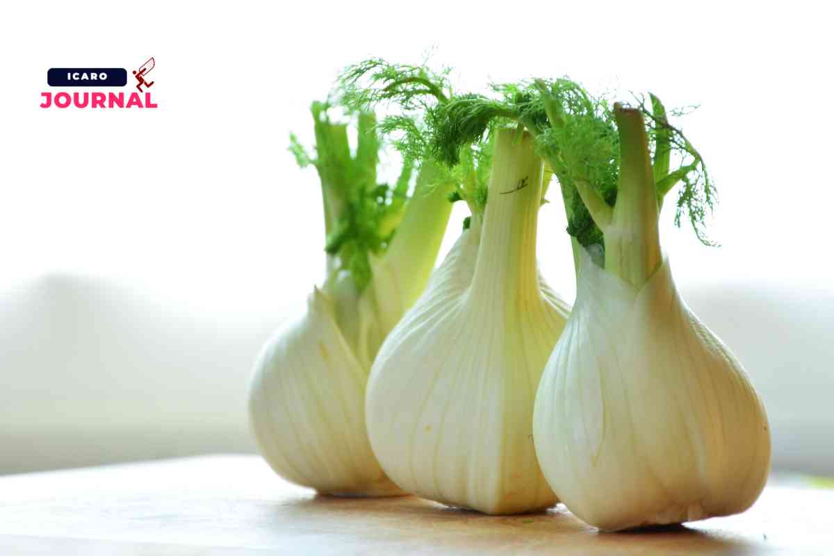 Acqua di cottura del finocchio - IcaroJournal