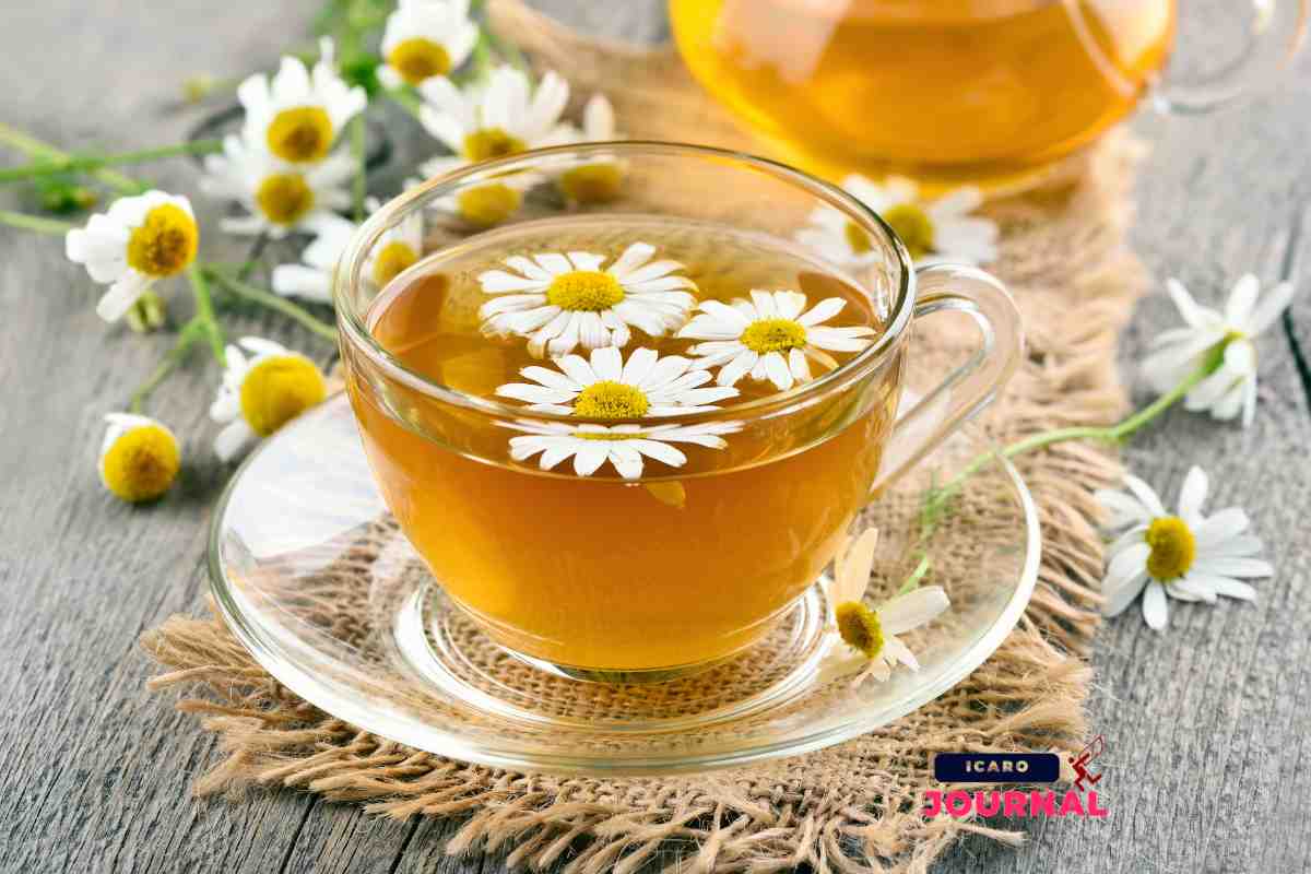 Filtro della camomilla cosa succede dopo 3 minuti - IcaroJournal