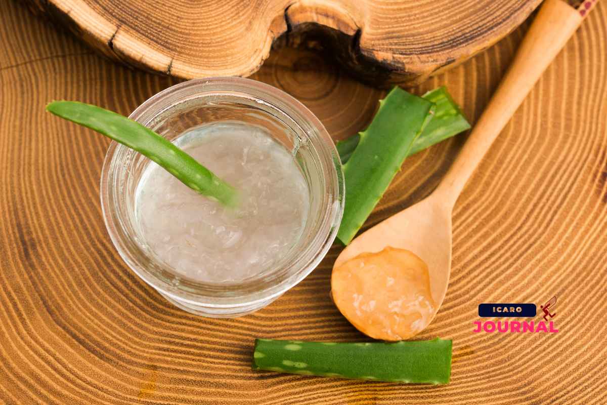 Aloe vera contro i brufoli - IcaroJournal