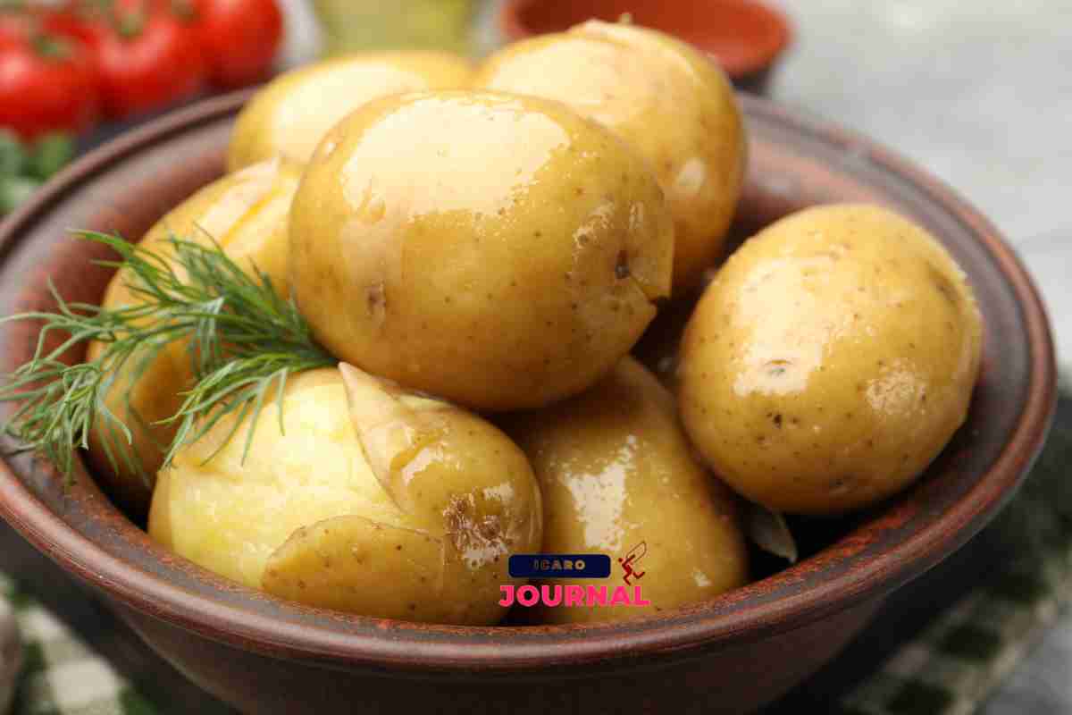 Burger vegetali - IcaroJournal