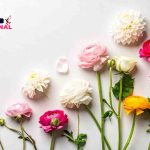 Lasagna agli asparagi, il pranzo della domenica diventa subito gourmet!