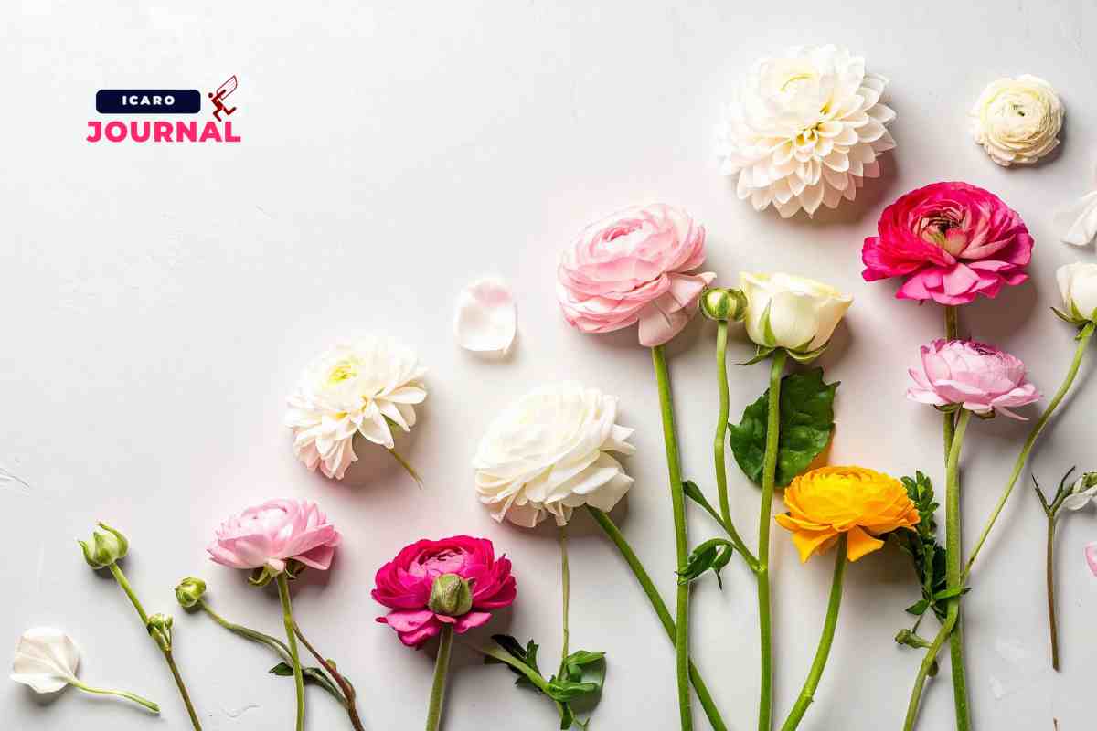 Fiori che si mangiano - IcaroJournal