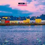 Acqua di cottura per la pasta? Usala sulle orchidee, cambierà tutto, anche i suoi fiori!