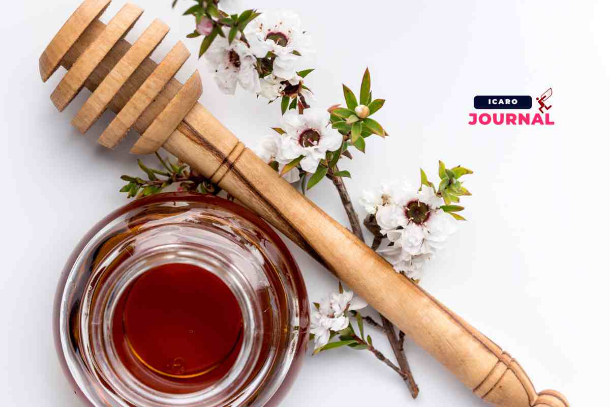 Patch al miele - IcaroJournal