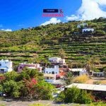 Il trucco “profumo di casa” che ti svolta l’umore: aromaterapia fai-da-te in 3 mosse