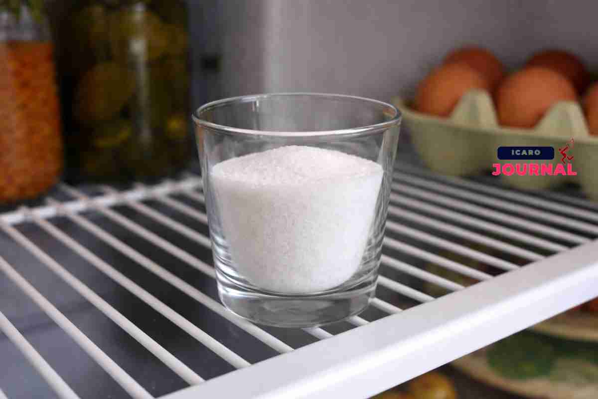 Sale nel frigo - IcaroJournal