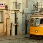 Con un solo limone e 4 foglie di alloro profumo tutta casa, il rimedio della nonna non fallisce