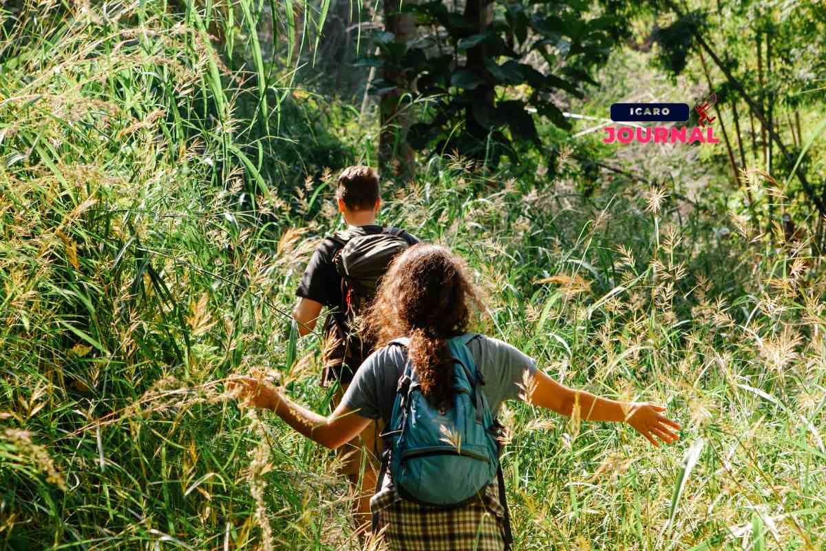 Vacanza nei boschi - IcaroJournal