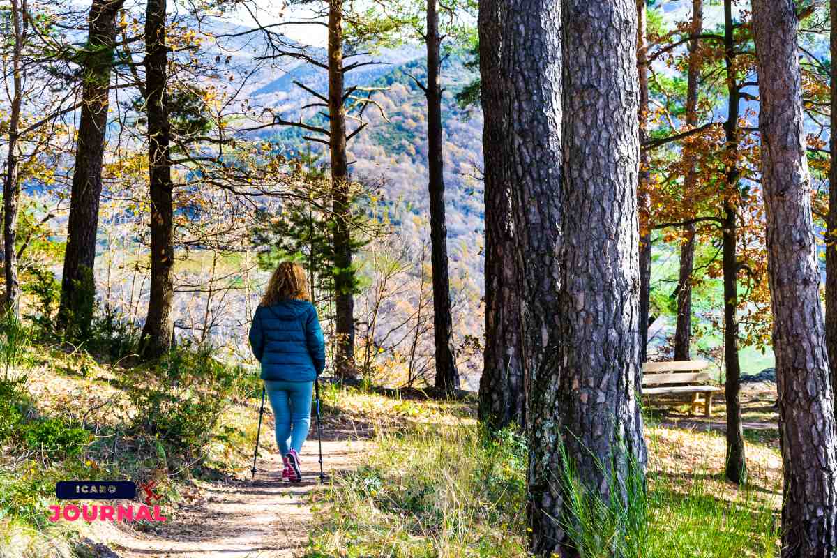 Vacanza nei boschi - IcaroJournal