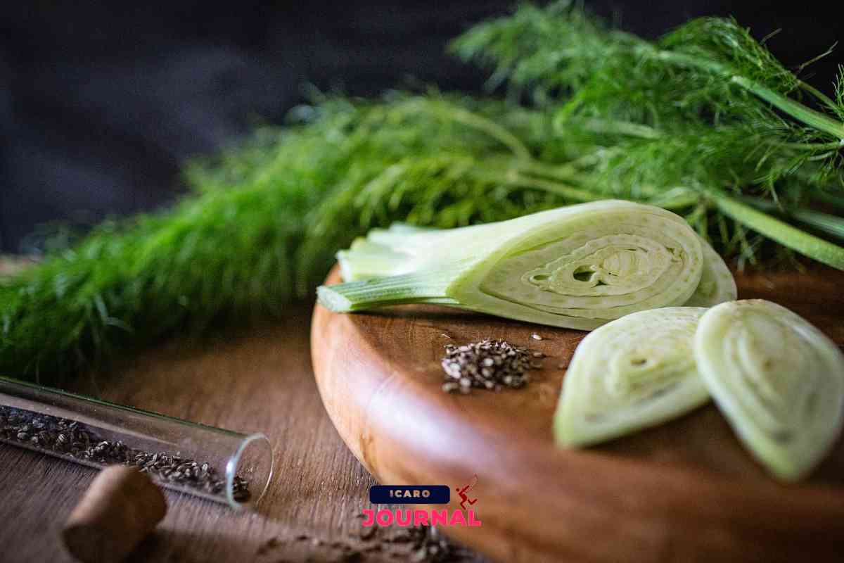 Acqua di cottura del finocchio - IcaroJournal