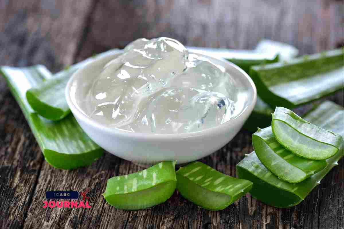 Benefici aloe vera per dimagrire (IcaroJournal.com)