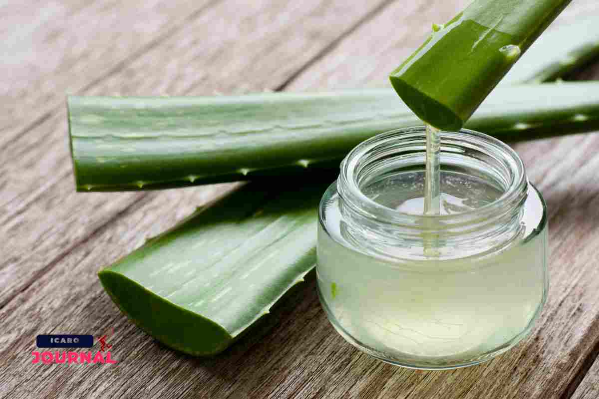 Benefici aloe vera per dimagrire (IcaroJournal.com)