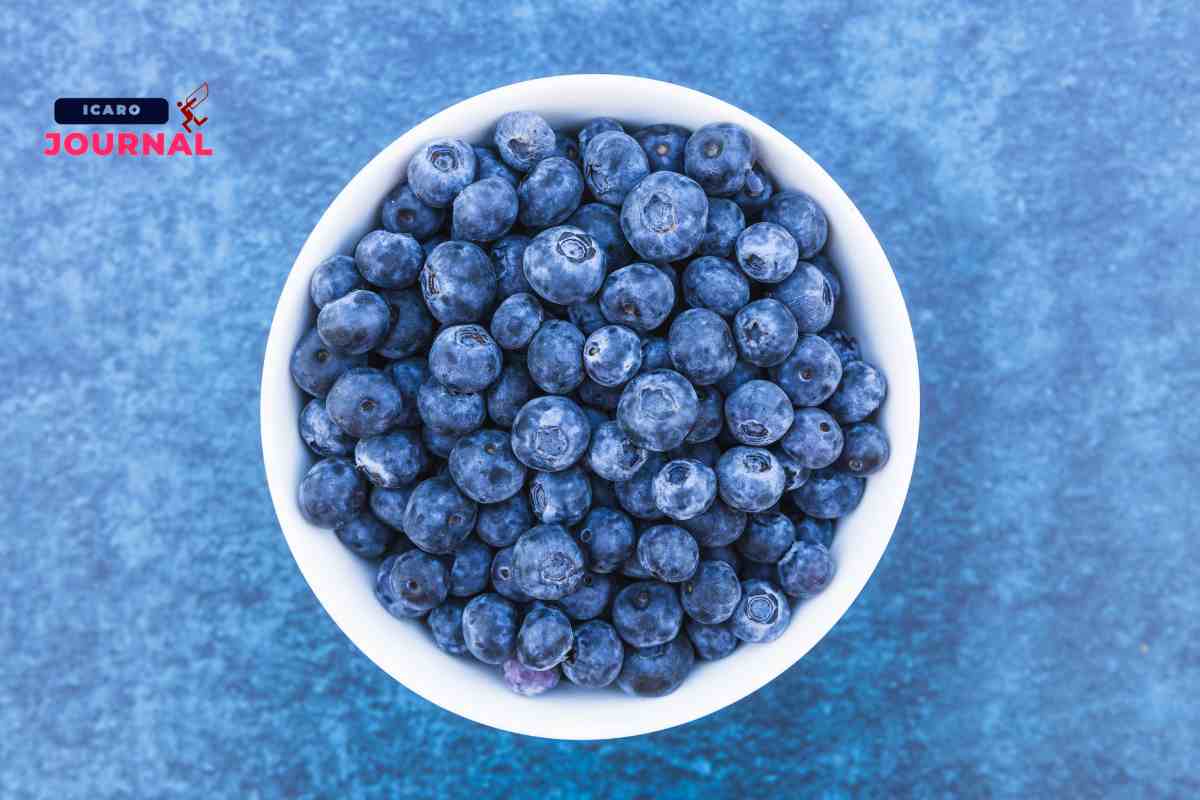 Torta di mirtilli - IcaroJournal