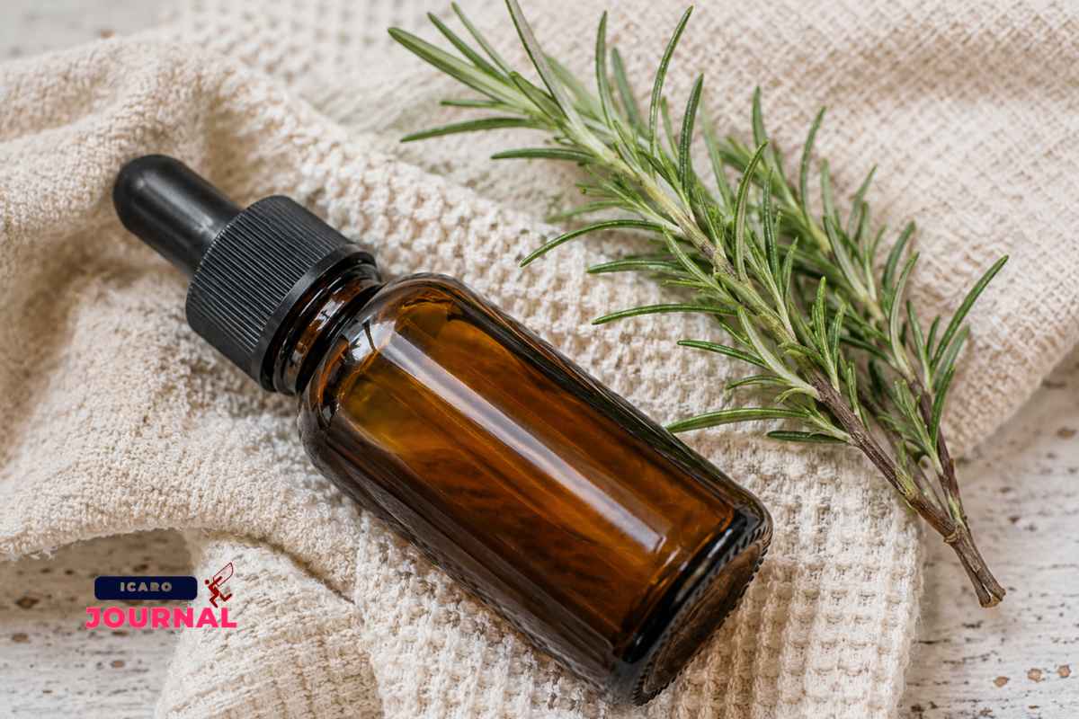 Olio di rosmarino per far crescere i capelli - IcaroJournal