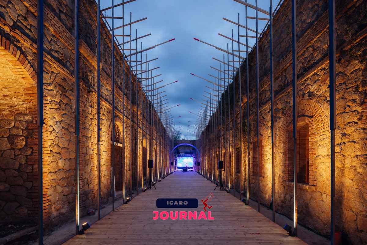 Non in senso stresso - IcaroJournal